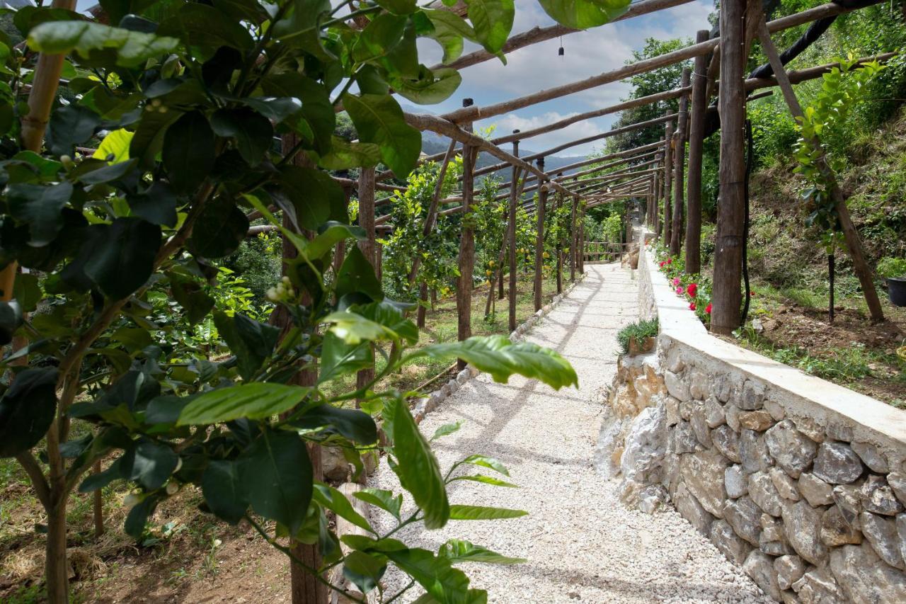 Villa Le Murelle Tramonti Εξωτερικό φωτογραφία