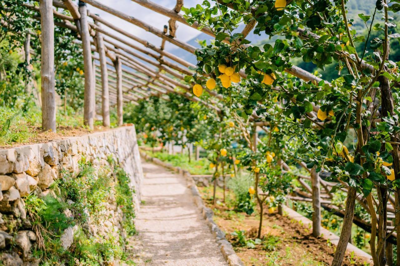Villa Le Murelle Tramonti Εξωτερικό φωτογραφία