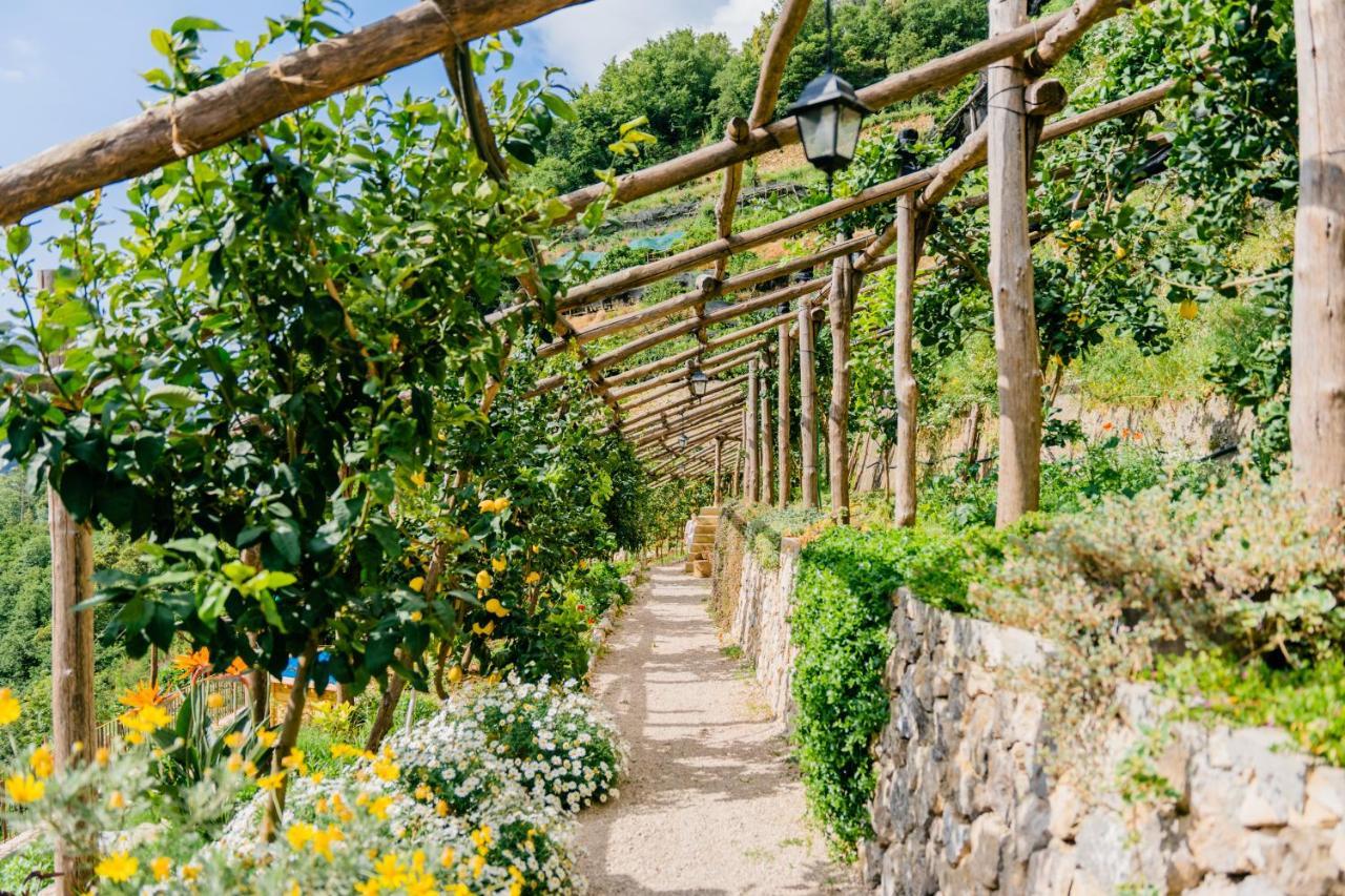 Villa Le Murelle Tramonti Εξωτερικό φωτογραφία